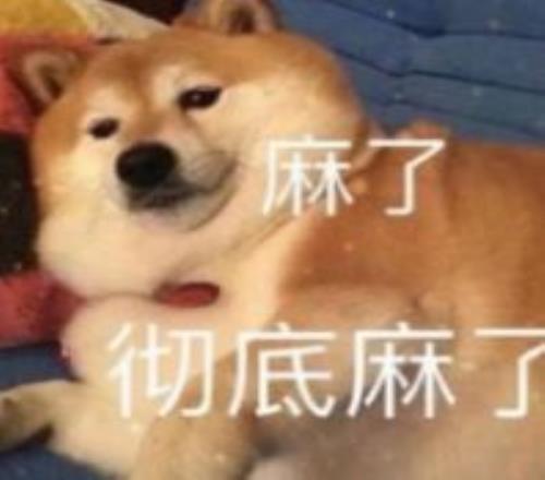 王曼昱新加,大满贯决赛,惜败,开云,开云体育,KaiYun,开云体育官网